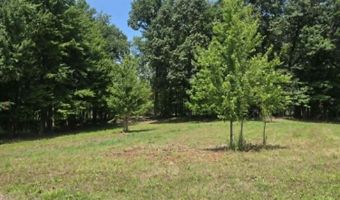 H Drive N, Albion, MI 49224