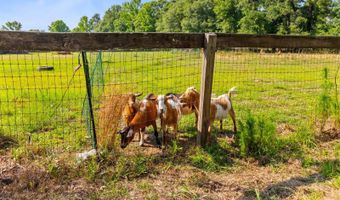 481 Cantey Ln, Camden, SC 29020