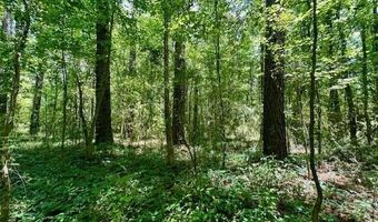 NE Williams Street, Brookhaven, MS 39601