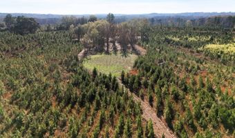 County Road 25, Banks, AL 36005
