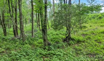 Featherwood Trail, Banner Elk, NC 28604