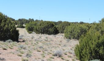 80 County Road 8620, Concho, AZ 85924