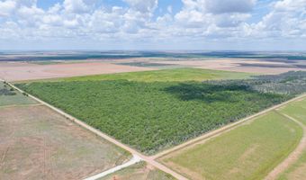 CR 260, Anson, TX 79501