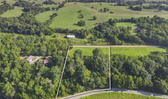 Lot A Farm Road 2005, Aurora, MO 65605