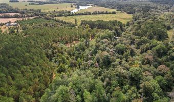 1289 Bruner Pond Rd, Ashford, AL 36312