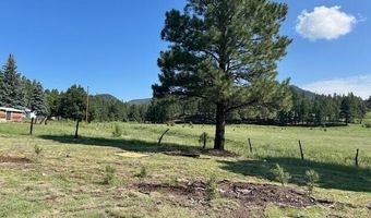14 County Road 2117, Alpine, AZ 85920