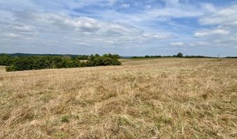 RR 1 Box 438K County Rd O-532, Ava, MO 65608