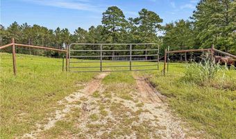 6779 County Road 215, Anderson, TX 77830