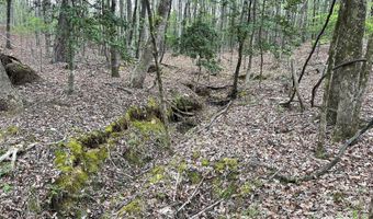 2390 Baron Dekalb Rd, Camden, SC 29020