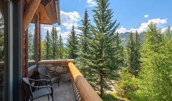247 Willoughby Way, Aspen, CO 81611