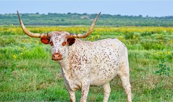 HWY 79, Archer City, TX 76374