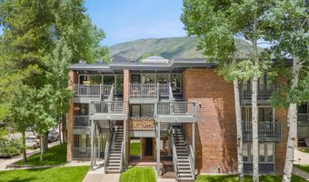 124 W Hyman Ave 3B, Aspen, CO 81611
