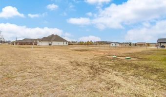 101 Consolation Dr, Millsap, TX 76066