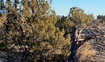 9 Acres Dulce St, Abiquiu, NM 87510