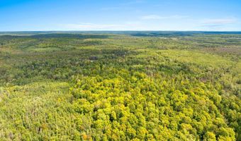 Double Bend Road, Argonne, WI 54511