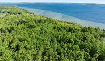 9707 Rogers Rd, Alanson, MI 49706