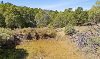 11 Camino De Adelaida Los Pinos Park, Arroyo Seco, NM 87514