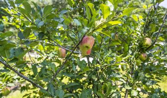 16 Pritchard Farms Ct, Bluffton, SC 29910