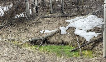 777 RICHARDSON CREEK Rd, Afton, WY 83110