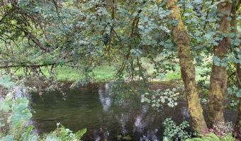 109 E Yates, Alsea, OR 97324