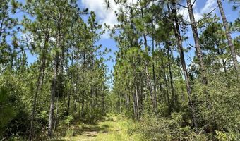 6389 County Line Rd B, Baker, FL 32531
