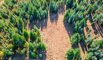 NW Lodge Rd, Banks, OR 97106