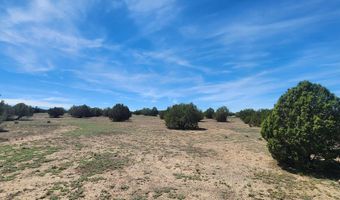 N xxxxx Road 249A, Ash Fork, AZ 86320