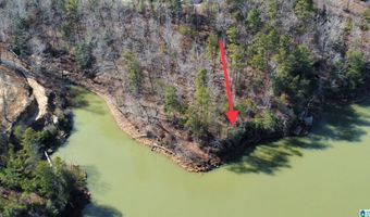 Lot 91 SIPSEY OVERLOOK DRIVE 91, Double Springs, AL 35553