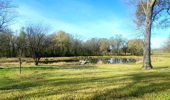 3411 County Road 3110, De Kalb, TX 75559