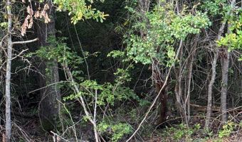 362 Timber Ln, Abbeville, AL 36310