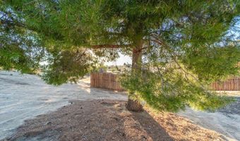 60627 Tamatea Rd, Anza, CA 92539
