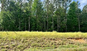 LOT 6 HWY 24, Centreville, MS 39631