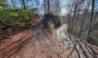 430 Live Oak Ter, Andrews, NC 28901