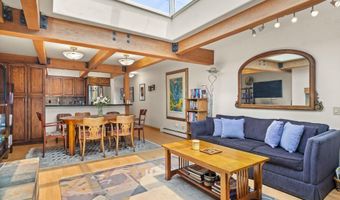 124 W Hyman Ave 3B, Aspen, CO 81611