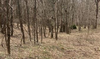 Tbd Old Mountain Road, Banner Elk, NC 28604