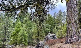 Tbd Hilltop Rd, Cascade, ID 83611