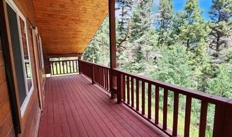 1407 Clarke Mountain Ln, Antonito, CO 81120
