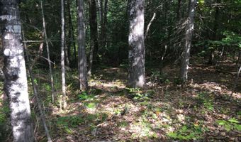 228 S Stagecoach Rd, Atkinson, ME 04426