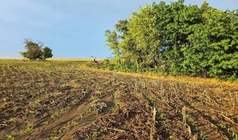 W 60th Dr, Alton, KS 67623