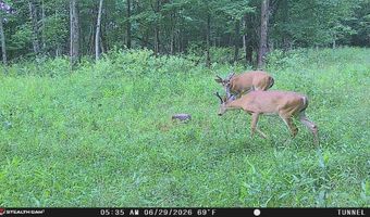 694 A Tunnel Ridge Rd, Argillite, KY 41121