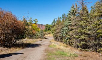 21401 Highway 82, Basalt, CO 81621