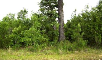 118 LR 27, Ashdown, AR 71822
