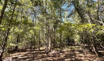 2672 Big Fork Rd, Barnwell, SC 29812