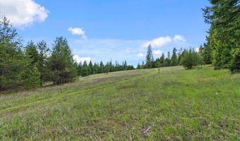 Nna Mesa Drive, Careywood, ID 83809