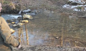 1693 Steve Brown Rd, Bean Station, TN 37708