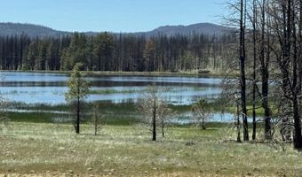 Off-Hicks Road, Bly, OR 97622