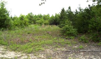 118 LR 27, Ashdown, AR 71822