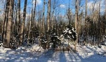 Lot 045 Sawyer Notch Road, Andover, ME 04216