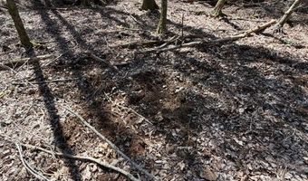 12 68 Acre 99 Rd, Blair, SC 29015