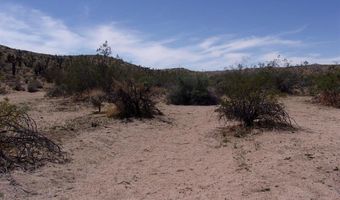 0 Ocotillo Way, Apple Valley, CA 92308